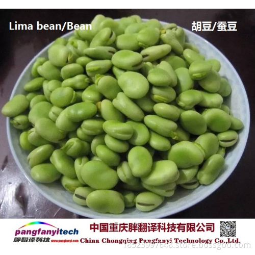 Natural Nutritional Tasty Self-planted Dried Lima Bean